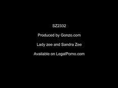 Четверо парней оттрахали во влагалище и анус двух девушек близнецов