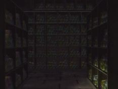 A Time To Screw / Время заняться любовью