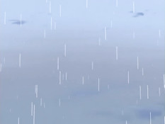 Akiba Girls / Девушки Акибы