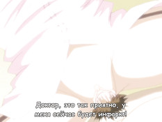 Akiba Girls / Девушки Акибы