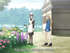 Anata dake Konbanwa / Вечером жду лишь тебя