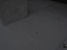 Мужик отымел сисястую латинскую брюнетку с тату и залил спермой рот