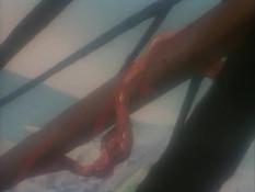 Demon Warrior Koji / Охотник на демонов Кодзи