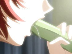 Ane to Boin / Семейное дело