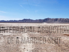 Негр остановил автомобиль и оттрахал зрелую шатенку посреди пустыни