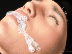 The Mantis / Богомол