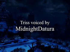 The Celebration of Midwinter / Празднование середины зимы