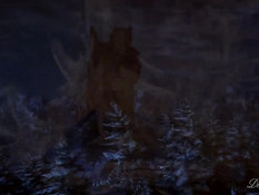 The Celebration of Midwinter / Празднование середины зимы