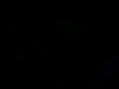 Cyberpunk Story - Marie Rose and Rainbow Mika / Киберпанк История - Мэри Роуз и Р. Мика