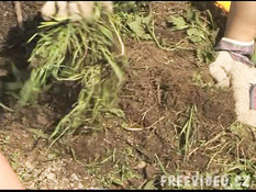 Грудастая молодая шатенка сосёт член и трахается с парнем на огороде