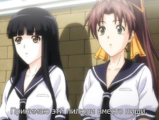 Oshioki: Gakuen Reijou Kousei Keikaku / Школьная программа наказания учениц