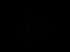 Flutter of Birds 2: Tenshitachi no Tsubasa / Касание девственницы 2