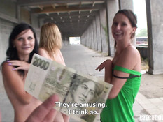 Молодая свинг пара сняла на улице двух девушек и развела их на секс