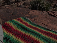 Привёз в пустыню молодую грудастую красотку и отымел в бритую киску