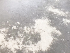 Татуированная русская милашка дала отыметь в анал и высосала сперму