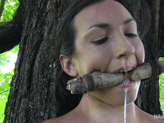 Злопамятная молодая госпожа связала опоенную девку и выпорола плетью