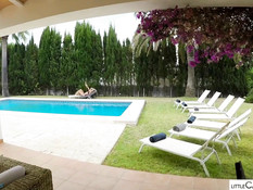 Красивая девка с каштановыми волосами сосёт член в открытом бассейне