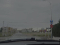 Развратная светловолосая автостопщица ебётся с водителем на тротуаре