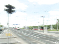 Две молодые пары свингеров трахаются в кустах возле оживлённого шоссе