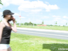 Две молодые пары свингеров трахаются в кустах возле оживлённого шоссе