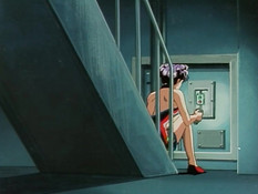 Shin Angel / Новый Ангел