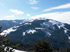 Спортивный татуированный гей отодрал в номере молодого разносчика еды