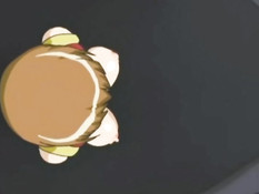 Bondage 101 / Школа послушания