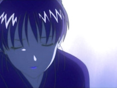 Ryokan Shirasagi / Гостиница «Бабочка-парусник»