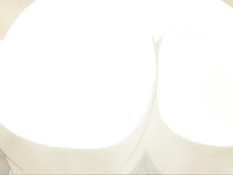 Ryokan Shirasagi / Гостиница «Бабочка-парусник»