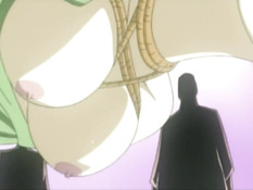 Ryokan Shirasagi / Гостиница «Бабочка-парусник»