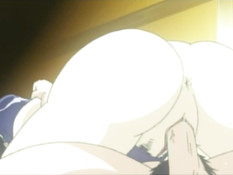 Ryokan Shirasagi / Гостиница «Бабочка-парусник»