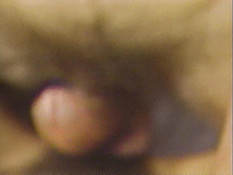 Знойная брюнетка с азиатской внешностью оттрахана в волосатую пизду