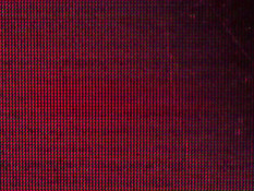 Кудрявая молодая мулатка ебётся на диване с брутальным белым мужчиной