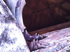 Lord of Sins / Повелитель греха