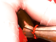 Transform Link / Превращение Линка