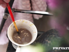 Irresistible Young Ladies / Неотразимые барышни