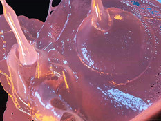 Orange Garden / Апельсиновый сад