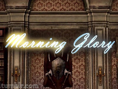 Morning Glory / Утренняя слава