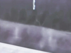 Chikansha Thomas / Томас-извращенец