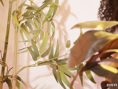 Грудастая темнокожая королева трахается с белыми девушками и мулатом