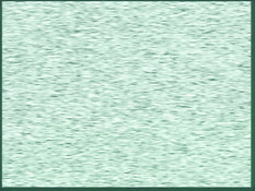 Shusaku / Сюсаку