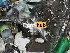 После глубокого минета молодая блондинка ебётся с приятелем на пляже