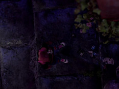 Honoka Celebrity: True Love Fans / Звезда Хонока: Поклонники настоящей любви