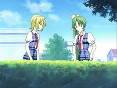 Kojin Taxi / Секс-такси