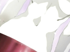 Midnight Strike Force / Полуночный спецназ