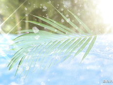 Сочная татуированная мулатка с большой грудью ебётся возле бассейна