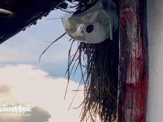 Отымел молодую шатенку на балконе в полной тишине и забрызгал спермой