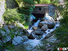 Гомосексуальный чернокожий парень отымел белого друга в очко в парке