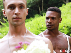 Гомосексуальный чернокожий парень отымел белого друга в очко в парке