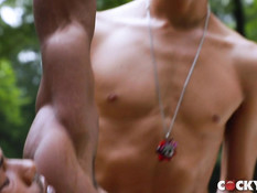 Гомосексуальный чернокожий парень отымел белого друга в очко в парке